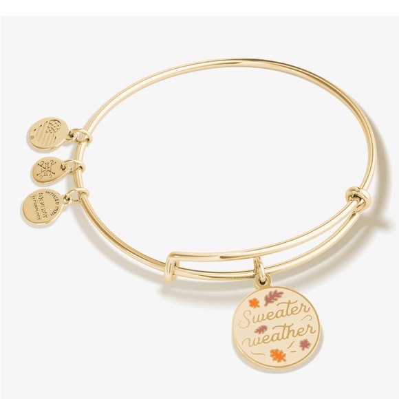 Alex + Ani Fall Charm Sweater Weather Bracelet Bangle - Picture 2 of 3